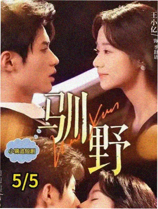 街角图书馆家庭喜剧单元海报